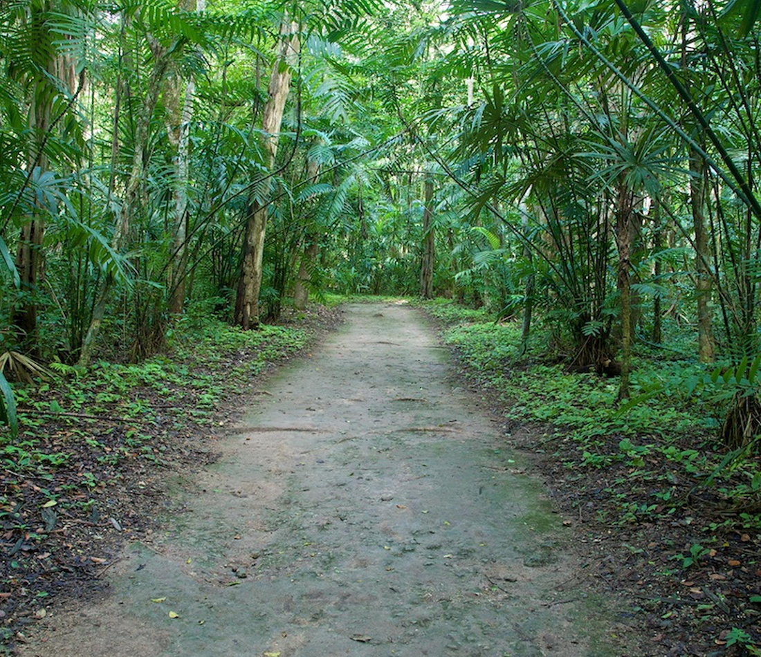Gautemala